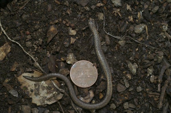 Comparez sans effort les boxes internet des principaux fai